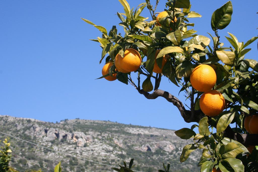 Albergo Masseria Refrigerio Ostuni Exterior photo